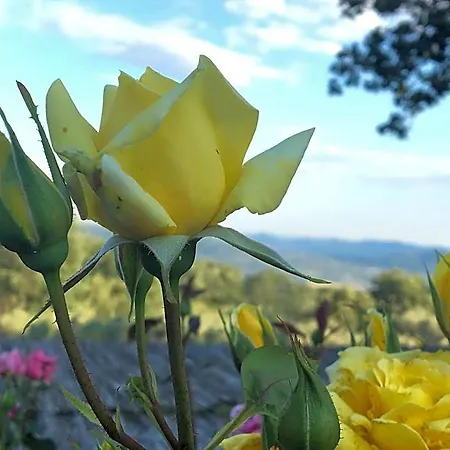 El Sosiego Ξενοδοχείο Villamiel