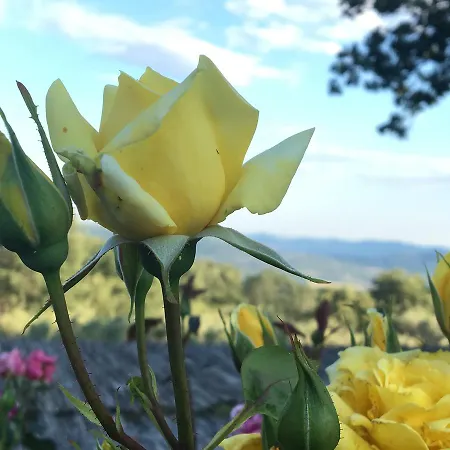 Hotel El Sosiego Villamiel