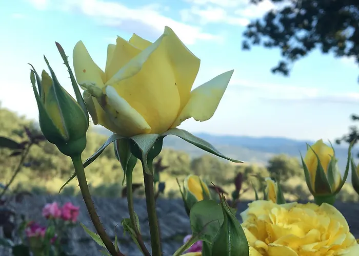 Hotel El Sosiego Villamiel